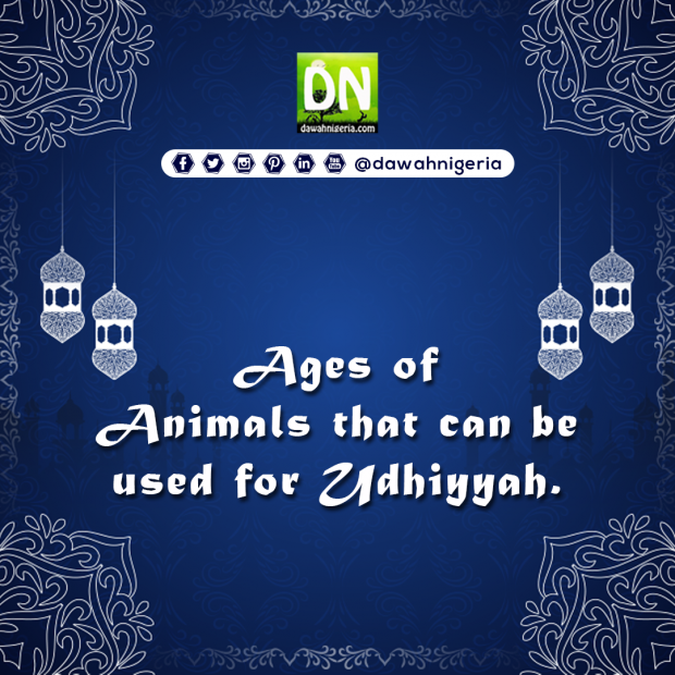 Animal's Age for Eid